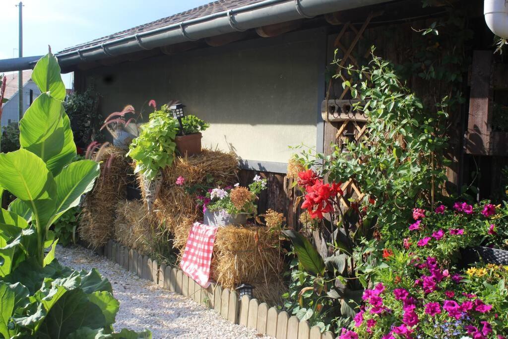 Maisonnette Bindernheim Extérieur photo